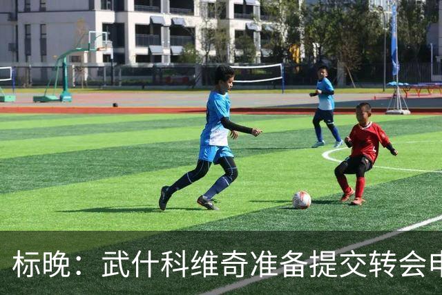 标晚：武什科维奇准备提交转会申请，以强行推动离开热刺
