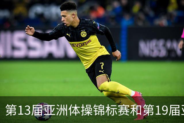 第13届亚洲体操锦标赛和第19届亚洲青年体操锦标赛在贵州开赛