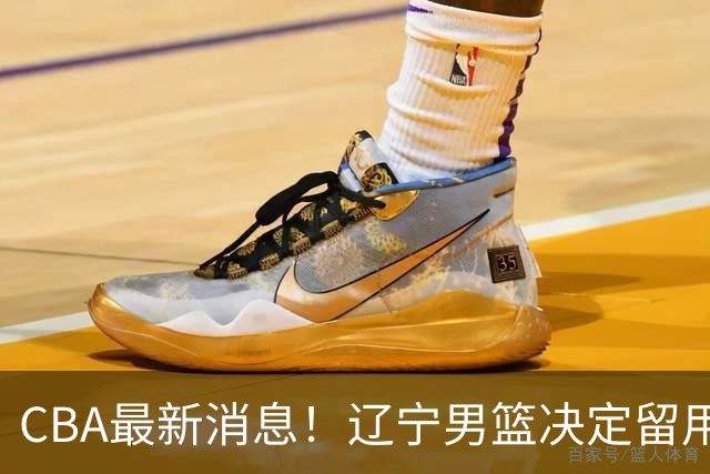 CBA最新消息！辽宁男篮决定留用莱迪，杜锋或将离开广东宏远