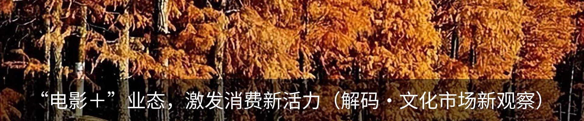 资讯中心