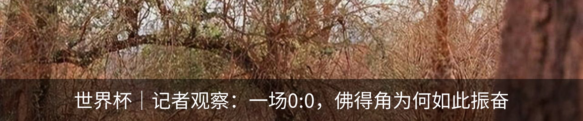 资讯中心