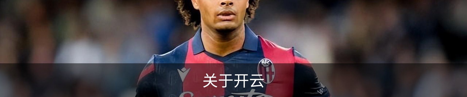 关于开云