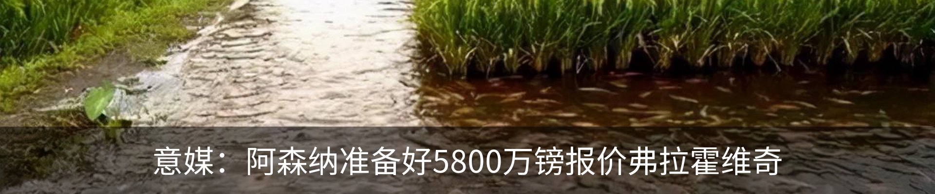资讯中心
